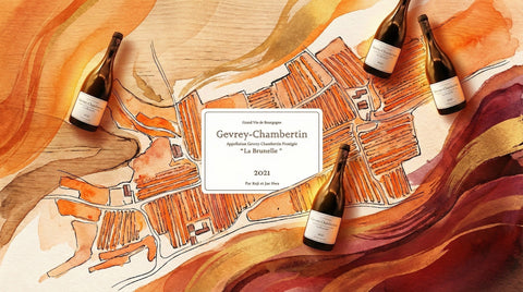 The Quiet Japanese–Korean Rising Star of Burgundy: The Story of Domaine Koji et Jae Hwa and Champagne Nakada‑Park  Burgundy 裏最低調的日韓新星：Domaine Koji et Jae Hwa 與 Champagne Nakada‑Park 的故事