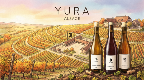 Domaine Yura 的靜謐與共鳴：一位日本青年在Alsace的尋真之旅