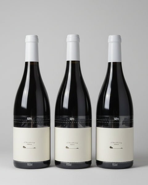 2020-2022 Terre de ciel A - Chardonnay