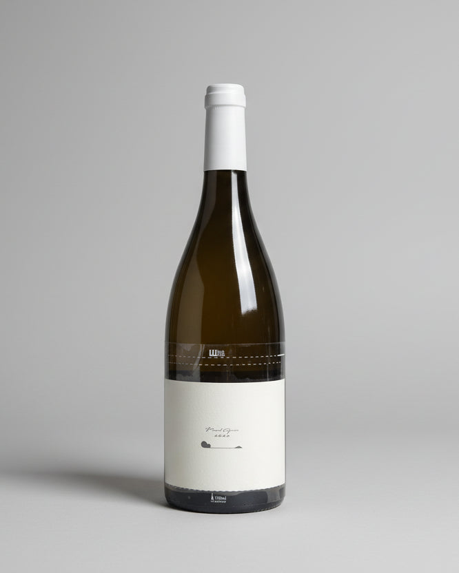 2022 Terre de ciel A - Pinot Gris – TH WINE Shop