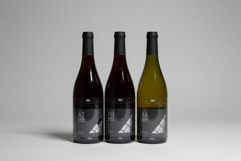 Domaine Yui 2024 Collection