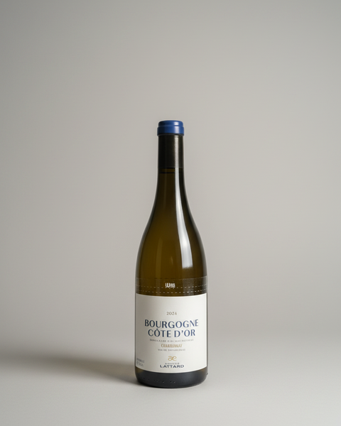 2024 Adrien Lattard Bourgogne Cote d'Or Chardonnay
