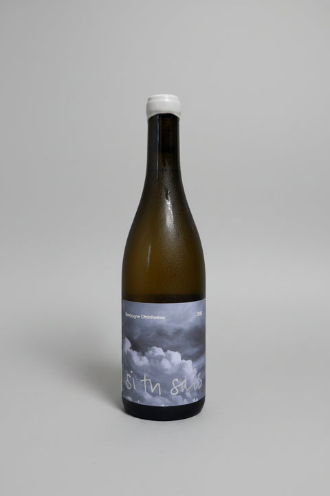 2023 Si Tu Sais Bourgogne chardonnay