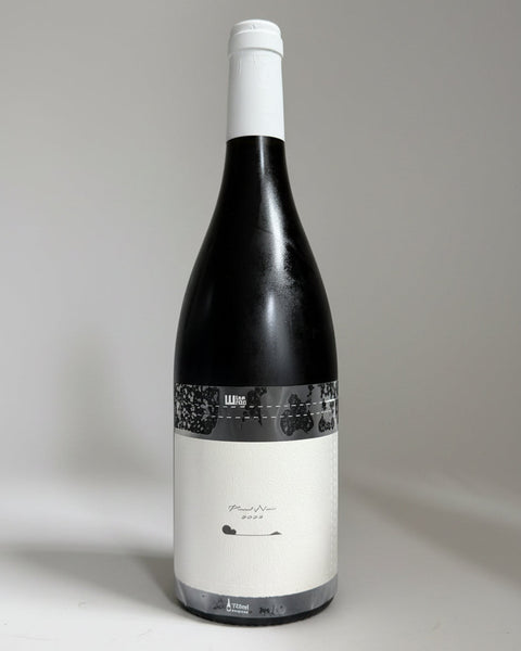 2023 Terre de ciel A - Pinot Noir