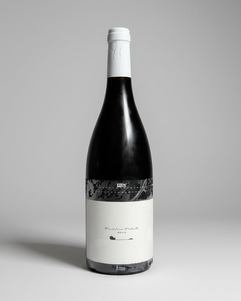 2023 Terre de ciel A - Pinot Noir Pedicelle – TH WINE Shop
