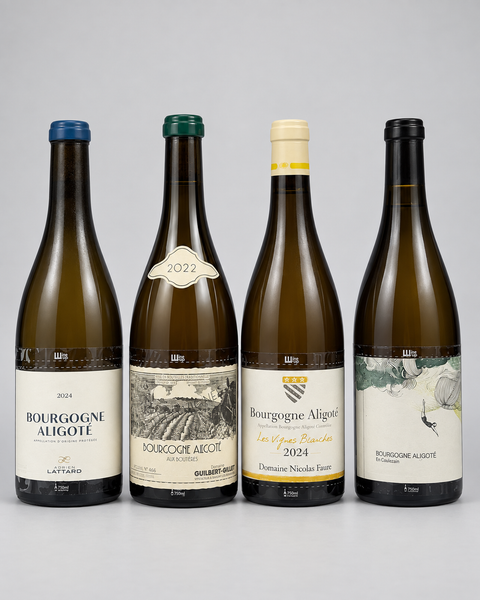 Aligote Collection — Adrien Lattard 2024, Guilbert-Gillet Aux Boutières 2022, Nicolas Faure Les Vignes Blanches 2024 and Les Horées En Coulezain 2020. 淺灰色無縫背景，中性打光。4:5。