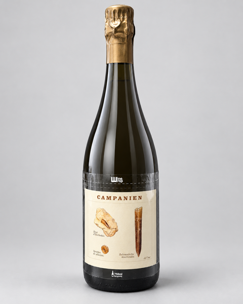 Legrand-Latour Campanien Blanc de Noirs Brut Nature Champagne — 淺灰色無縫背景，中性打光；4:5，完整酒瓶
